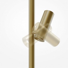 Торшер Maytoni Thin MOD395FL-L28BS3K в Миассе - miass.ok-mebel.com | фото 6