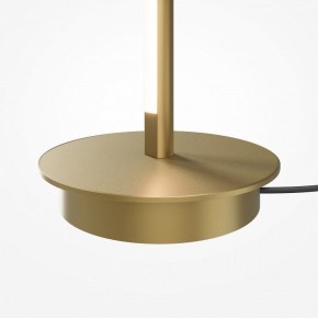 Торшер Maytoni Thin MOD395FL-L28BS3K в Миассе - miass.ok-mebel.com | фото 7