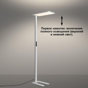 Торшер Novotech STUDI 359545 в Миассе - miass.ok-mebel.com | фото 5