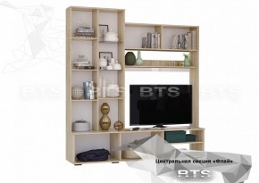 ФЛАЙ Центральная секция ЦС-01 (дуб сонома/белый) в Миассе - miass.ok-mebel.com | фото 4