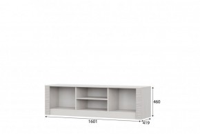 ГАММА 20 Тумба для ТВА (1600) Серия №4 в Миассе - miass.ok-mebel.com | фото 3