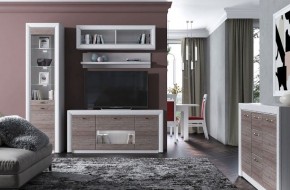 Тумба RTV 1V2D1S, OLIVIA, цвет вудлайн крем/дуб анкона в Миассе - miass.ok-mebel.com | фото 4