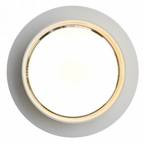 Встраиваемый светильник Feron DL502 51089 в Миассе - miass.ok-mebel.com | фото 5