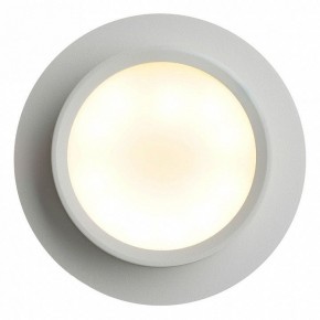 Встраиваемый светильник Feron DL504 51101 в Миассе - miass.ok-mebel.com | фото 5