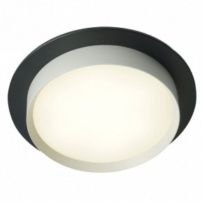 Встраиваемый светильник Feron DL507 51352 в Миассе - miass.ok-mebel.com | фото 3
