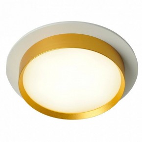 Встраиваемый светильник Feron DL507 51354 в Миассе - miass.ok-mebel.com | фото 3