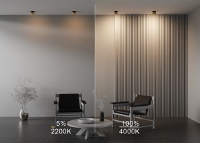 Встраиваемый светильник Maytoni Onda DL024-12W-DTW-BMG в Миассе - miass.ok-mebel.com | фото 9