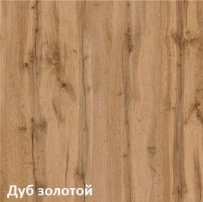 Вуди Шкаф для одежды 13.138 в Миассе - miass.ok-mebel.com | фото 4