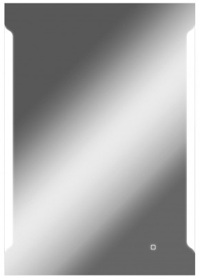 Зеркало Оттава 1000х700 с подсветкой Домино (GL7028Z) в Миассе - miass.ok-mebel.com | фото